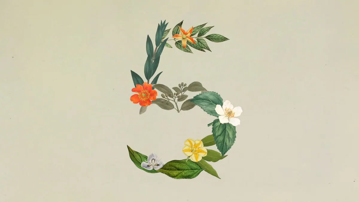 Anthropic 为“Claude Sonnet 5 加强规划、工具使用与日常专业工作”提供的发布页配图