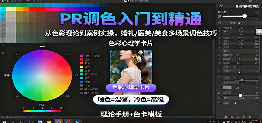 PR调色入门到精通：从色彩理论到案例实操，婚礼/医美/美食多场景调色技巧-易网创