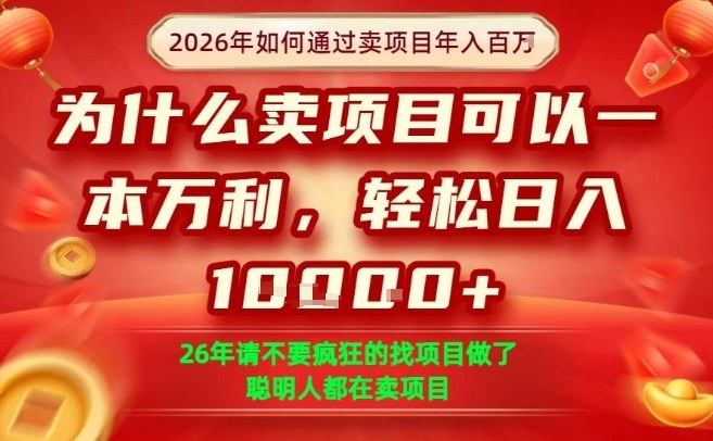 一单净利润1K+，26年想年入100个W，死磕卖项目就够了【揭秘】-易网创