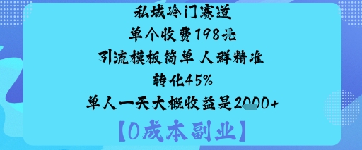 私域冷门赛道:单个收费198米引流模板简单人群精准转化45%单人一天大概收益是1k+-易网创