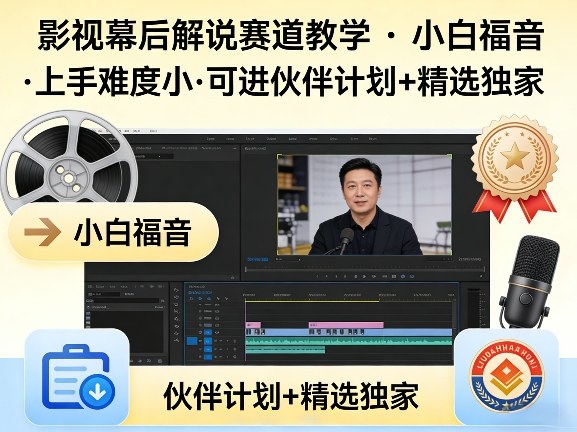 某大佬的影视幕后解说赛道教学，小白福音，上手难度小，可进伙伴计划+精选独家-易网创