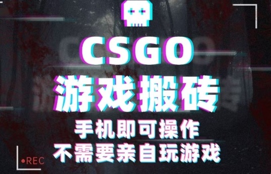 CSGO游戏挂G捡漏，单日扫货5张+，年底小高峰上车可吃肉，手机即可操作，兼职副业创业网创【揭秘】-易网创