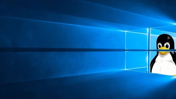 linux和windows软件一样吗-易网创