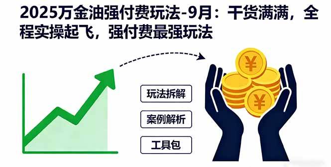 （16202期）2025万金油强付费玩法-9月：干货满满，全程实操起飞，强付费最强玩法-易网创