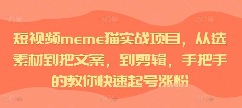 短视频meme猫实战项目，从选素材到把文案，到剪辑，手把手的教你快速起号涨粉-易网创