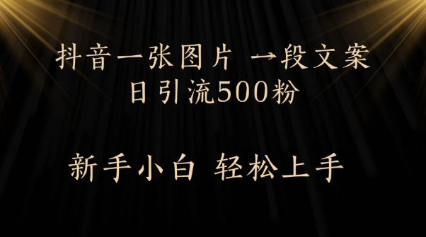 每天2分钟，抖音一张图片 一段文案日引流500粉-易网创