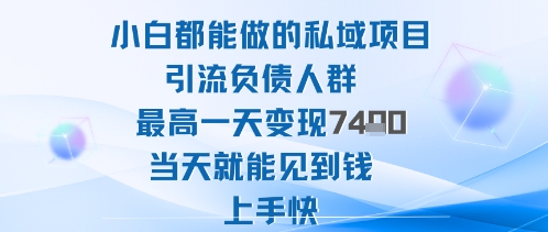 2025年小白都能做的私域项目引流负债人群最高一天变现1k+高变现难度低当天就能见到钱上手快-易网创