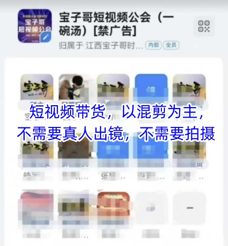 宝子哥头部团队短视频带货，以混剪为主，不需要真人出镜，不需要拍摄【更新26年3月】-易网创